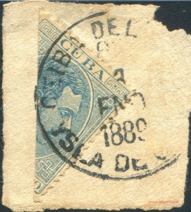 069_CeibaDelAgua_1_ne