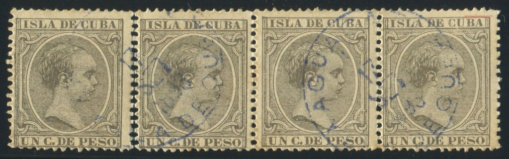 011_Aguacate_3_az_v22