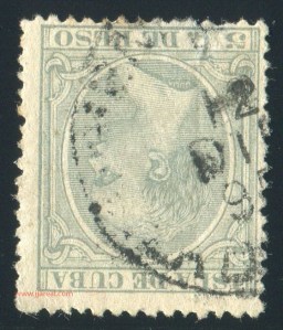 069_CeibaDelAgua_2_ne_v22