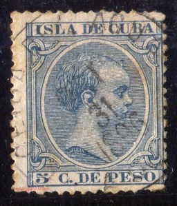 069_CeibaDelAgua_3_ne_v22